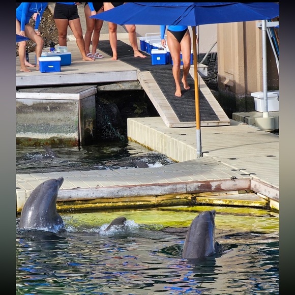 VISIT HAWAII!! 🌴🌴🌴☀️☀️☀️The big Island is amazing!!! - Picture 13 of 16